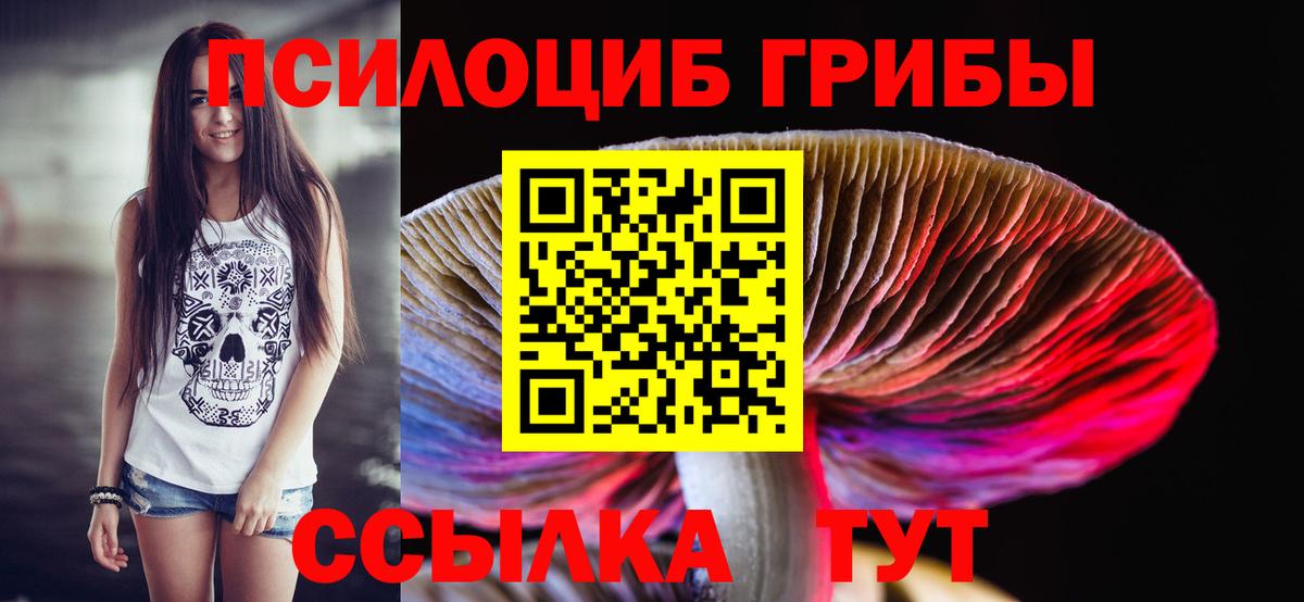 Псилоцибиновые грибы GOLDEN TEACHER Чайковский