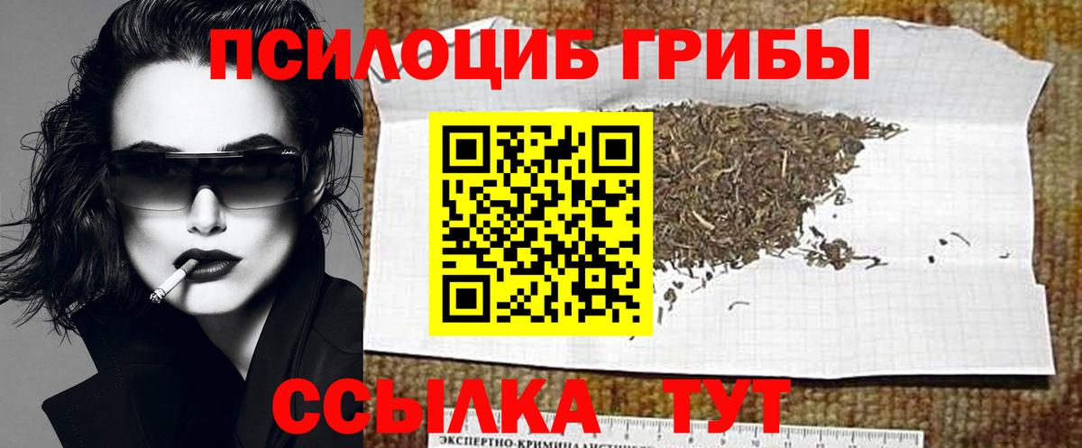 Галлюциногенные грибы мицелий  Вход с VPN  Чайковский 
